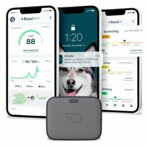 Whistle GPS Health Tracker