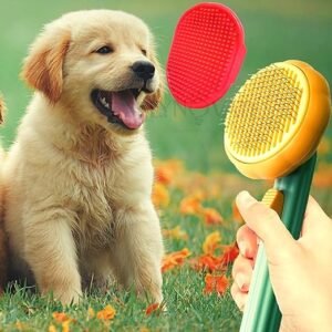 Dog Brush