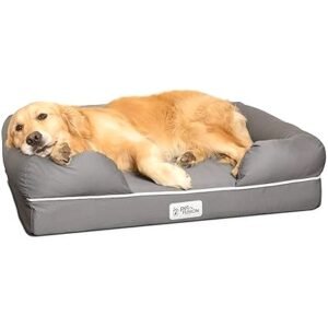 PetFusion Carrier