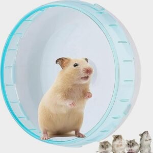Hamster Wheel