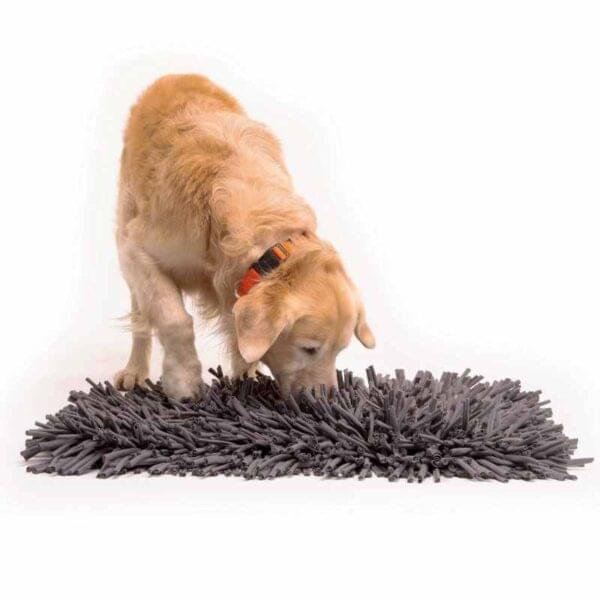 Paw 5 Wooly Snuffle Mat